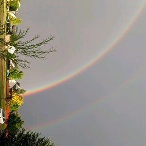 Meet your Posher, Sage